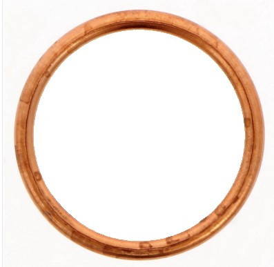 Case-IH Dichtring aussen