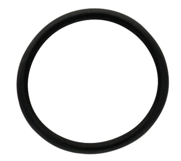 Massey Ferguson O-Ring