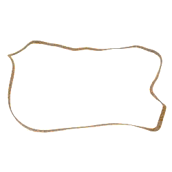 Case IH Ventildeckel-Dichtung (3138688R1)