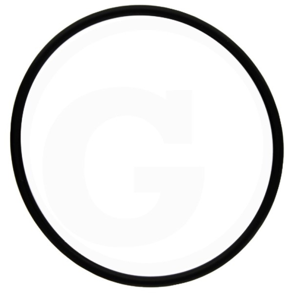 O-Ring