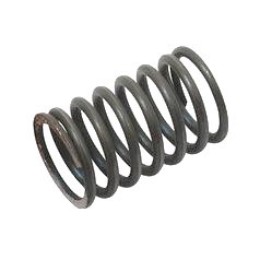 Ford Ventilfeder innen (81804285)