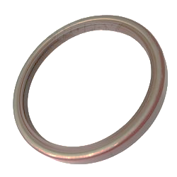 Case IH Wellendichtring hinten (3138701R91)