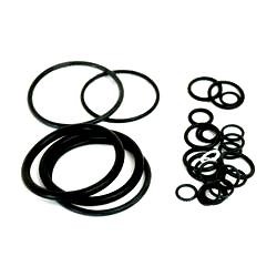 Massey Ferguson O-Ring Kit (894906M1)